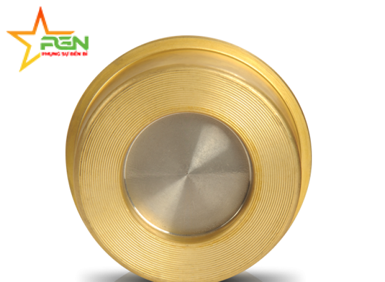 Van Một Chiều CV10/P, CV10/P Check Valves