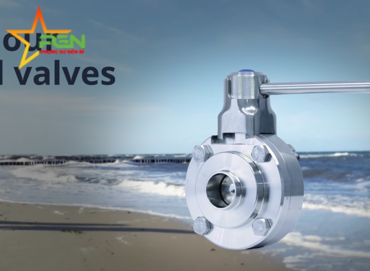 VAN BI INOX VI SINH M&S|M&S BALL VALVES